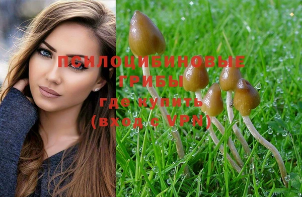 винт Нефтегорск