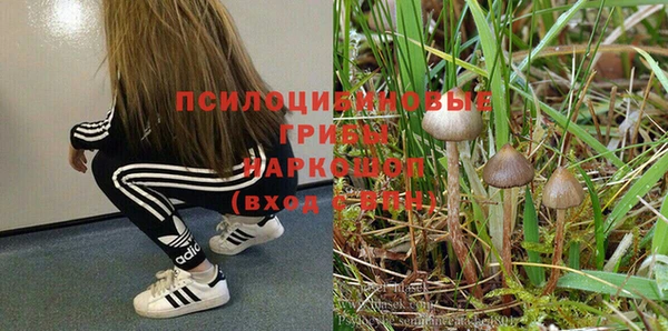 дмт Нея